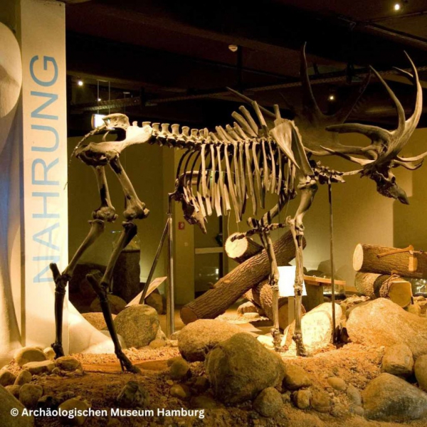 Archäologisches Museum Hamburg