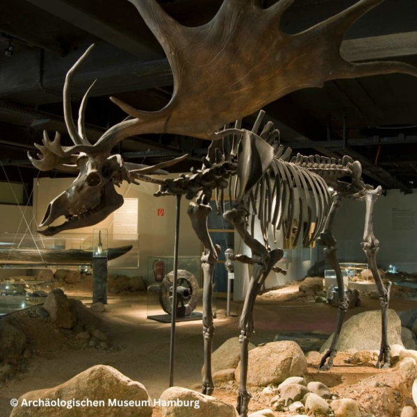 Archäologisches Museum Hamburg