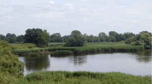 Elbinsel Wilhelmsburg