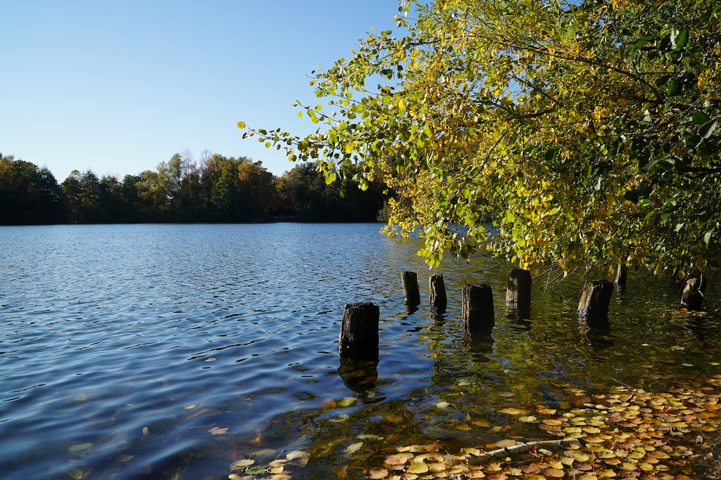 Ausflug von Hamburg nach Hannover