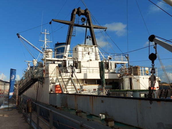 Die MS Stubnitz (Foto: Babette Burgdorf)