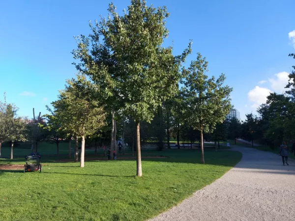 Lohsepark