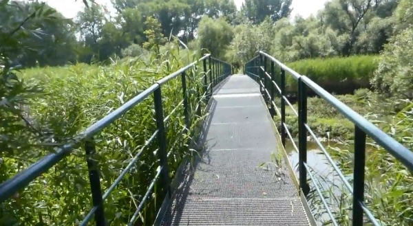 Elbinsel Wilhelmsburg