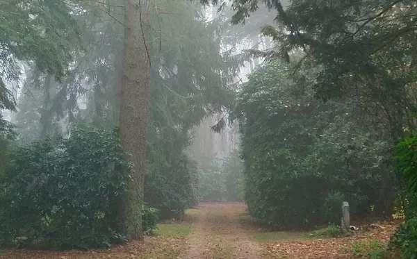 Friedhof Ohlsdorf