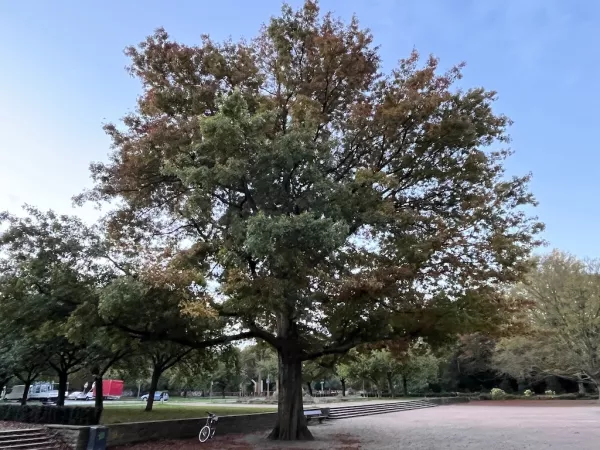 Herbst in Hamburg