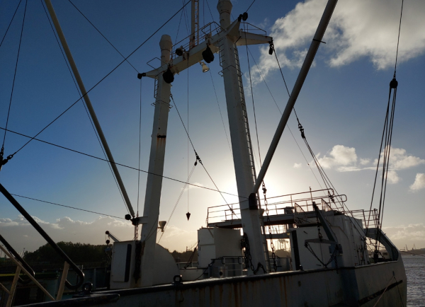 In der Abendsonne: MS Stubnitz (Foto: Babette Burgdorf)