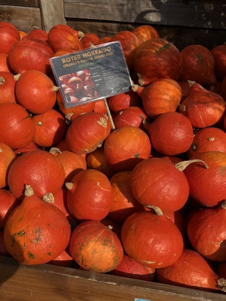 Karls Erlebnis Dorf in Warnsdorf