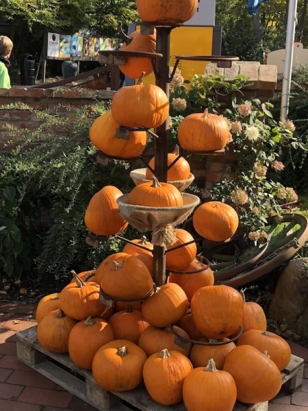 Karls Erlebnis Dorf in Warnsdorf