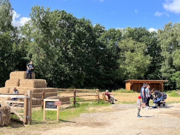 Landhof zum Dorfkrug Neu Wulmstorf