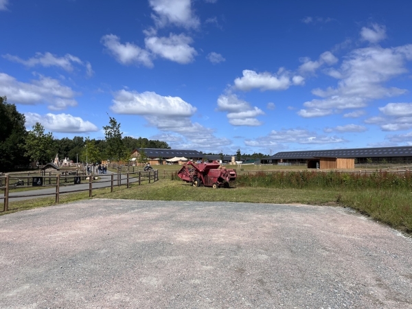 Landhof zum Dorfkrug - Neu Wulmstorf