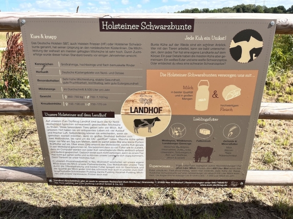 Landhof zum Dorfkrug - Landhof