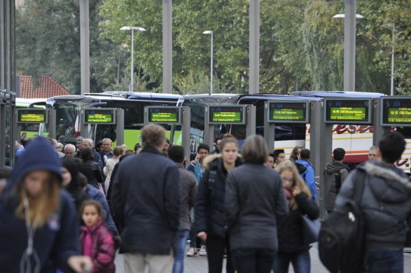 Fernbusse am Hamburger ZOB