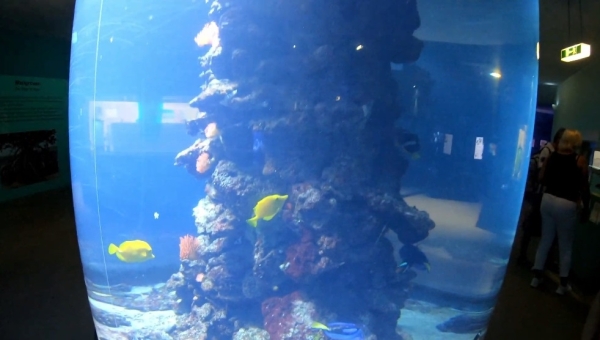 Meereszentrum Fehmarn