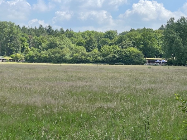 Ponyhof Niendorfer Gehege Waldschänke