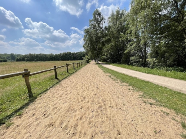 Ponyhof Niendorfer Gehege Waldschänke