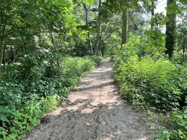 Ponyhof Niendorfer Gehege Waldschänke