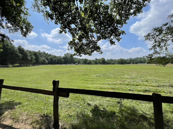 Ponyhof Niendorfer Gehege Waldschänke