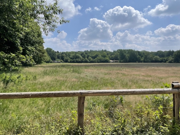 Ponyhof Niendorfer Gehege Waldschänke