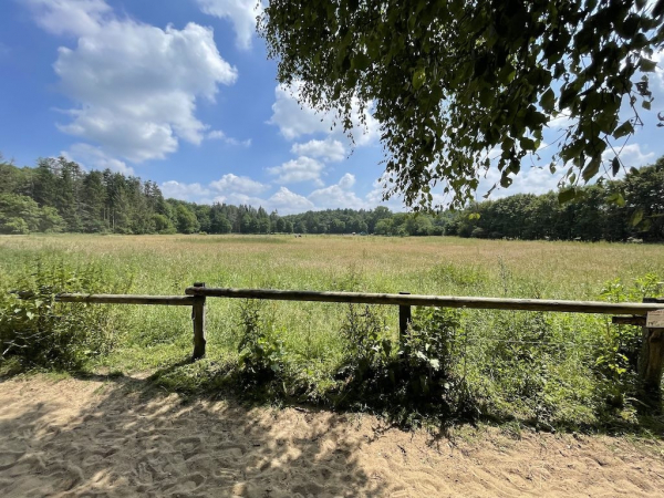 Ponyhof Niendorfer Gehege Waldschänke