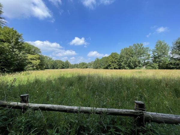 Ponyhof Niendorfer Gehege Waldschänke