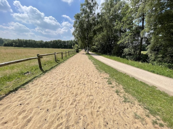 Ponyhof Niendorfer Gehege Waldschänke