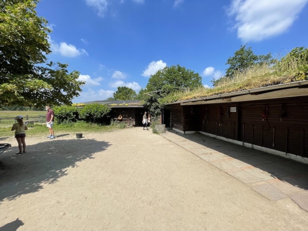 Ponyhof Niendorfer Gehege Waldschänke