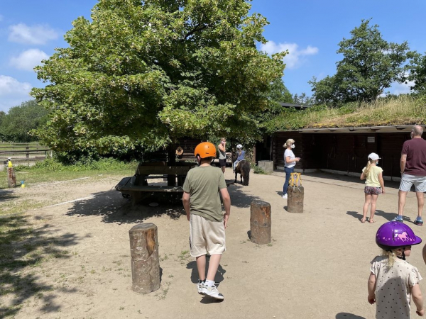 Ponyhof Niendorfer Gehege Waldschänke