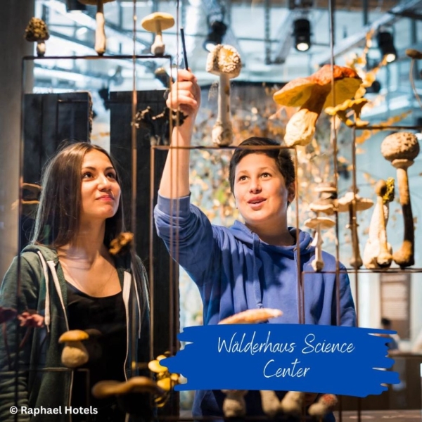 Raphael Hotel Wälderhaus in Wilhelmsburg