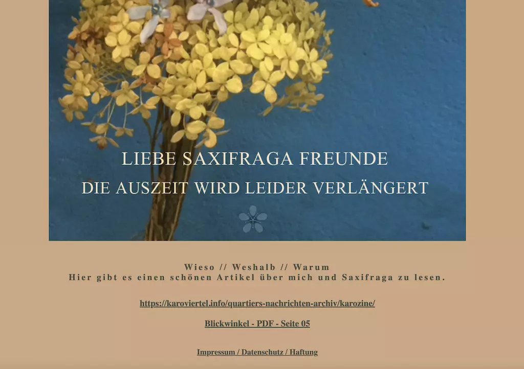 Saxifrage