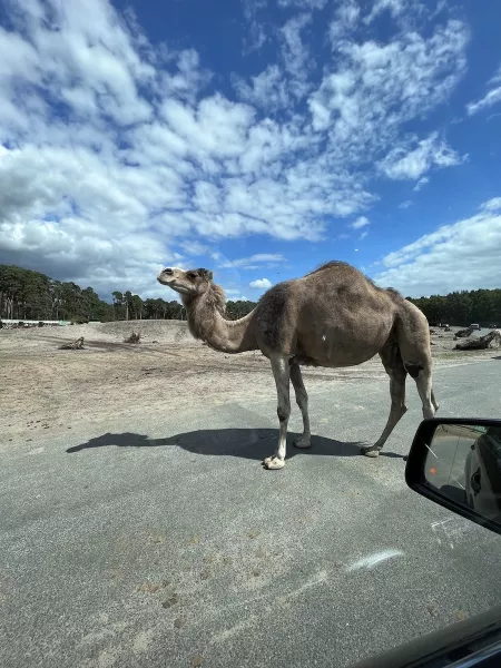 Serengeti Park Hodenhagen