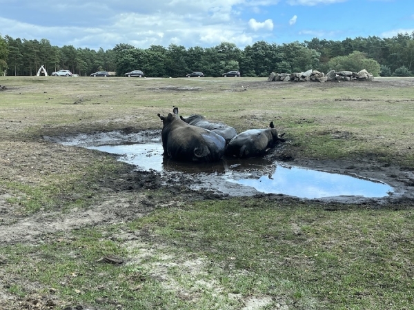 Serengeti Park Hodenhagen