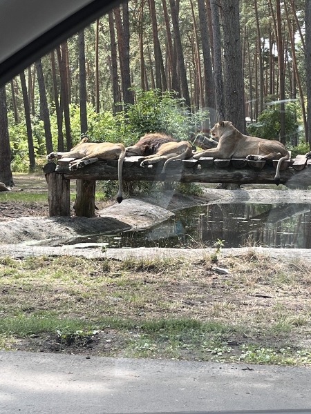Serengeti Park Hodenhagen