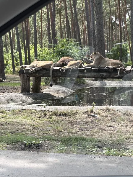 Serengeti Park Hodenhagen