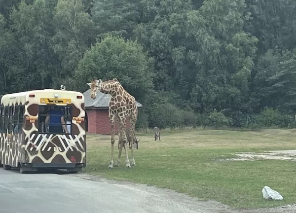 Serengeti Park Hodenhagen