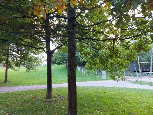 Lohsepark