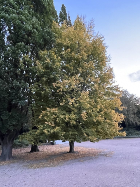 Stadtpark Hamburg