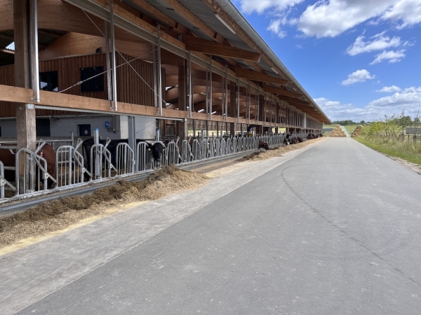 Landhof zum Dorfkrug - Kuhstall