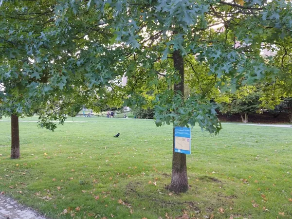 Lohsepark