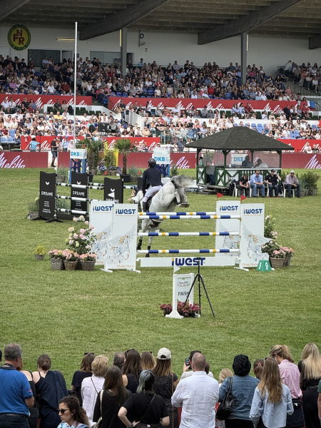 Al Shira'aa Deutschen Spring- & Dressur Derbys 2025