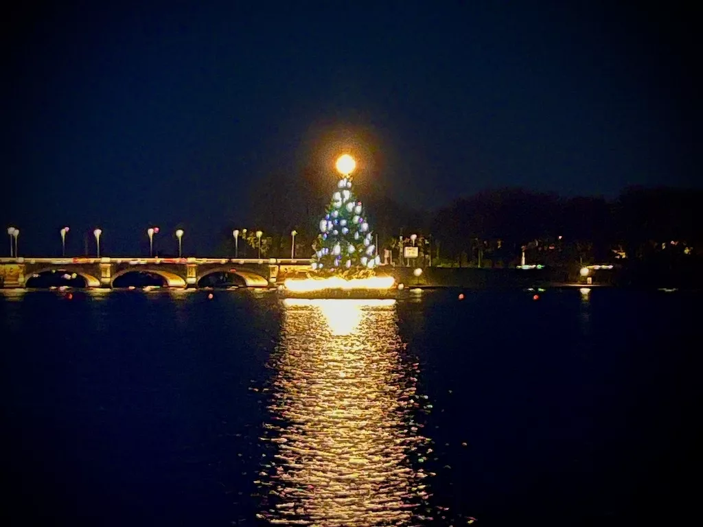 Alstertanne auf der Binnenalster