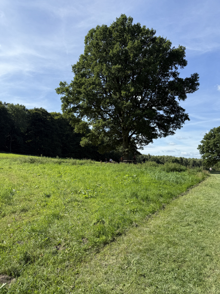 Barfußpark Egestorf