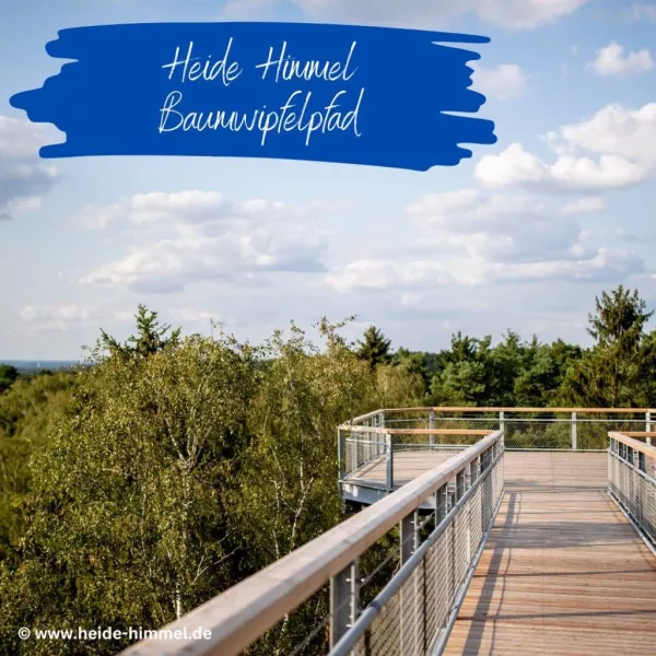 Heide Himmel - Baumwipfelpfad Nindorf