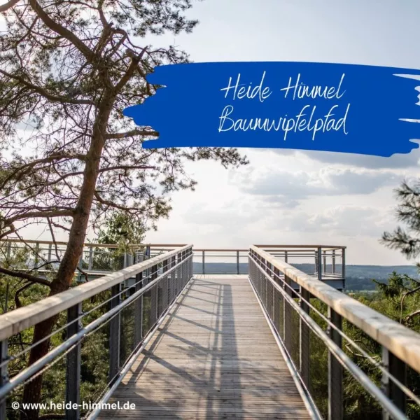 Heide Himmel - Baumwipfelpfad Nindorf