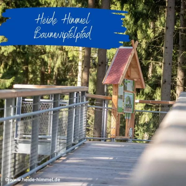 Heide Himmel - Baumwipfelpfad Nindorf