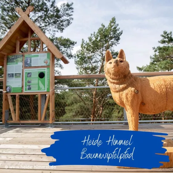 Heide Himmel - Baumwipfelpfad Nindorf