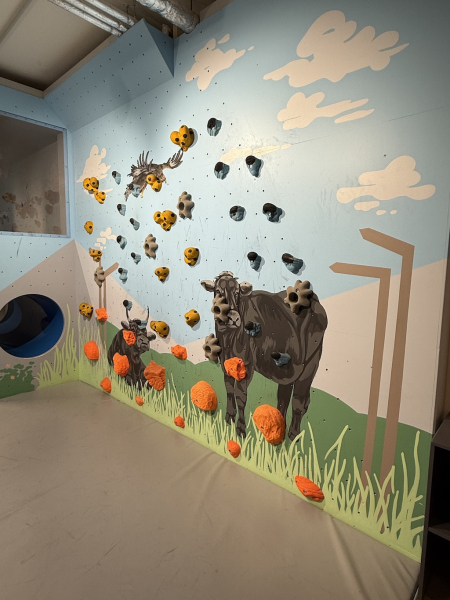 Boulderwelt Hamburg – Indoor-Kletterspaß mitten in der Stadt