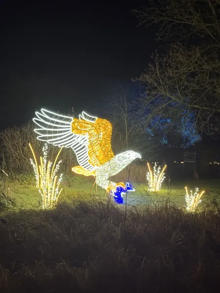 Christmas Garden Hamburg 2025