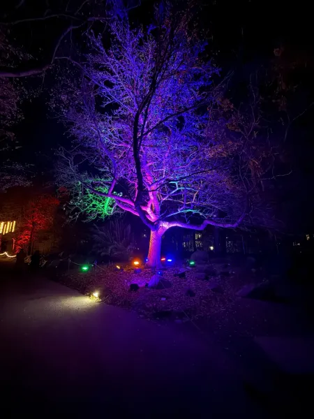 Christmas Garden Hamburg 2025