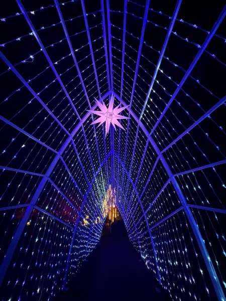 Christmas Garden Hamburg 2025