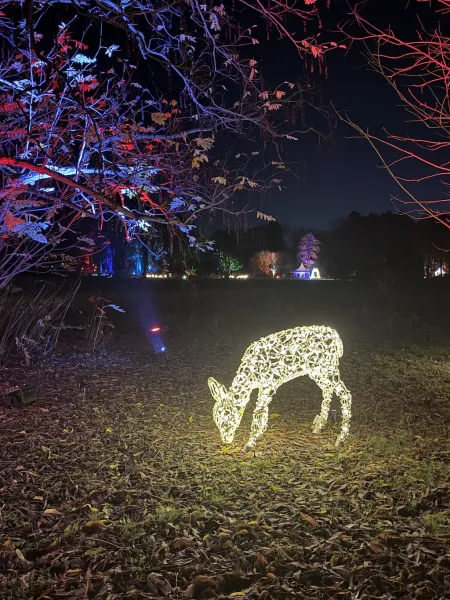 Christmas Garden Hamburg 2025